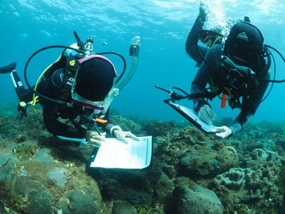survey photo from Mudjimba Island