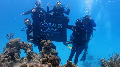 Reef Check San Andrés