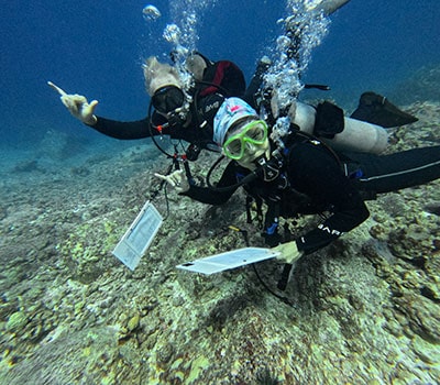 Divers conducting coral reef survey underwater for reef conservation and monitoring.