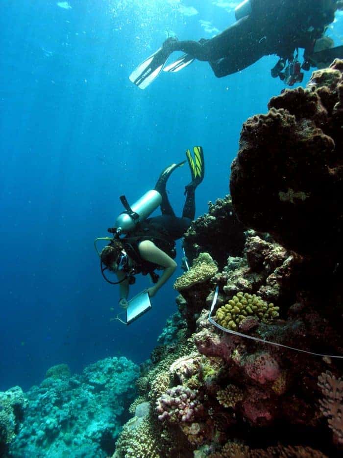 leanne inverts north horn reef check