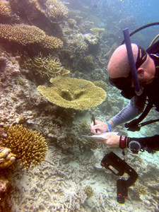 Maldives EcoExpedition 2023