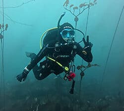 Diving underwater with reef monitoring equipment for reef conservation.