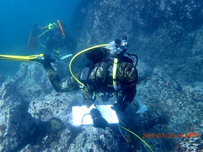 North Coast Kelp Forest Restoration project
